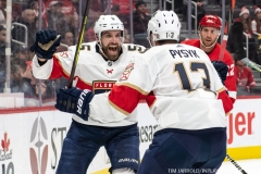 Florida-Panthers-vs-Detroit-Red-Wings-January-18-2020-18