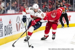 Florida-Panthers-vs-Detroit-Red-Wings-January-18-2020-23