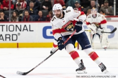 Florida-Panthers-vs-Detroit-Red-Wings-January-18-2020-67