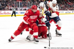 Florida-Panthers-vs-Detroit-Red-Wings-January-18-2020-7