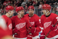 Wings vs Panthers 12-31-2018 (11)