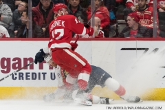Wings vs Panthers 12-31-2018 (15)