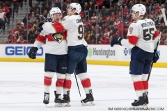 Wings vs Panthers 12-31-2018 (17)