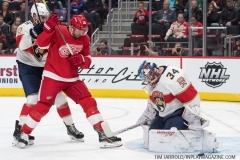 Wings vs Panthers 12-31-2018 (18)