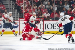 Wings vs Panthers 12-31-2018 (2)