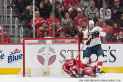Wings vs Panthers 12-31-2018 (20)