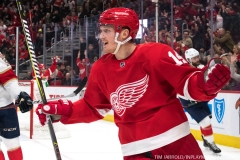Wings vs Panthers 12-31-2018 (32)