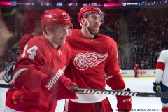 Wings vs Panthers 12-31-2018 (33)