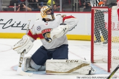 Wings vs Panthers 12-31-2018 (4)
