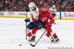 Wings vs Panthers 12-31-2018 (47)