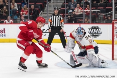 Wings vs Panthers 12-31-2018 (49)