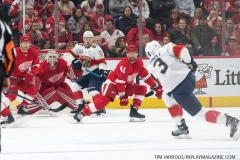 Wings vs Panthers 12-31-2018 (5)
