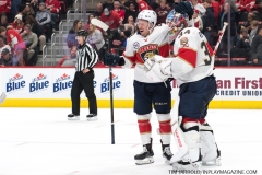 Wings vs Panthers 12-31-2018 (50)