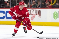 Wings vs Panthers 12-31-2018 (7)