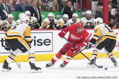 Penguins-at-Red-Wings-April-2-2019-13