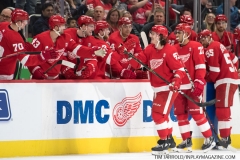 Penguins-at-Red-Wings-April-2-2019-19