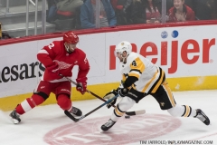 Penguins-at-Red-Wings-April-2-2019-47
