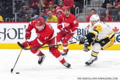Penguins-vs-Red-Wings-December-7-2019-2