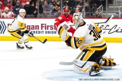 Penguins-at-Detroit-Red-Wings-January-17-2020-4
