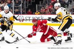 Penguins-at-Detroit-Red-Wings-January-17-2020-7