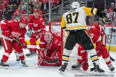 Red Wings vs Penguins March 27 2018 (11)