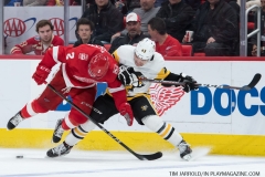 Red Wings vs Penguins March 27 2018 (15)
