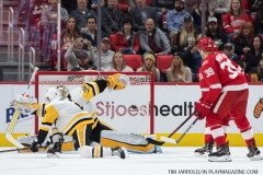 Red Wings vs Penguins March 27 2018 (16)