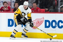 Red Wings vs Penguins March 27 2018 (19)