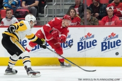 Red Wings vs Penguins March 27 2018 (3)