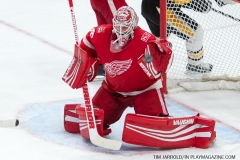 Red Wings vs Penguins March 27 2018 (31)
