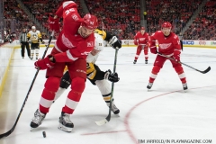 Red Wings vs Penguins March 27 2018 (40)
