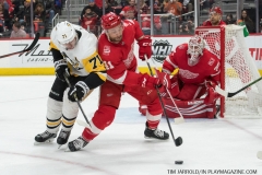 Red Wings vs Penguins March 27 2018 (41)