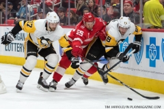 Red Wings vs Penguins March 27 2018 (7)