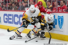 Red Wings vs Penguins March 27 2018 (8)