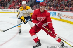 Red Wings vs Predators Feb 20 2018 (1)
