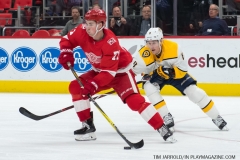 Red Wings vs Predators Feb 20 2018 (10)