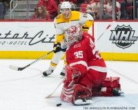 Red Wings vs Predators Feb 20 2018 (11)