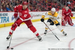 Red Wings vs Predators Feb 20 2018 (12)