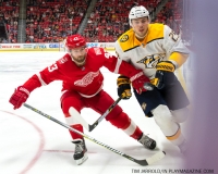 Red Wings vs Predators Feb 20 2018 (14)