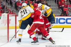 Red Wings vs Predators Feb 20 2018 (15)