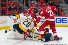 Red Wings vs Predators Feb 20 2018 (16)