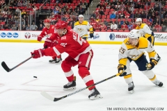 Red Wings vs Predators Feb 20 2018 (3)