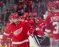 Red Wings vs Predators Feb 20 2018 (34)