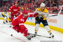 Red Wings vs Predators Feb 20 2018 (7)