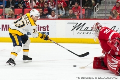 Red Wings vs Predators Feb 20 2018 (8)