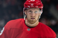 Predators-vs-Red-Wings-Nov-4-2019-28