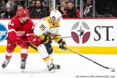 Predators-vs-Red-Wings-Nov-4-2019-40