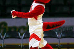 Raptors Practice