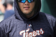 Tigers vs Rays May 2 2018 (1)