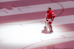 Dallas-Stars-at-Detroit-Red-Wings-April-10-2022-Tim-Jarrold-In-Play-magazine-17